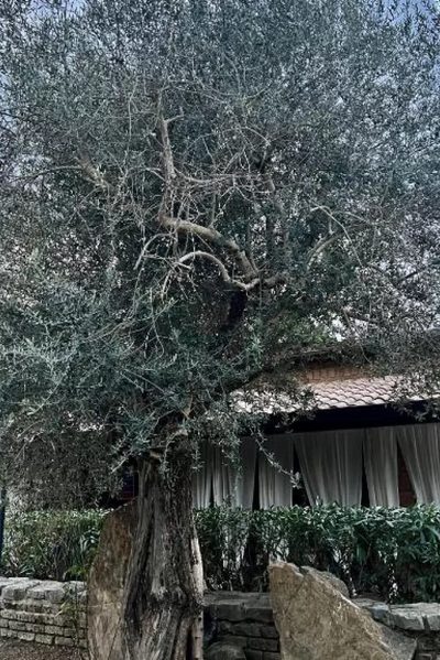 Agriturismo a Casa di Susanna, a Santo Stefano del Sole