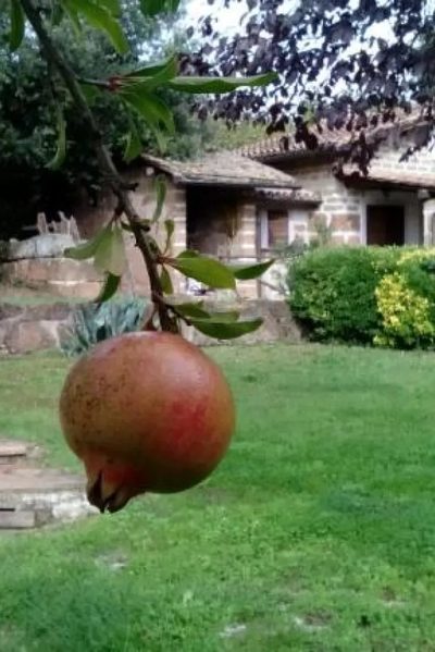 Agriturismo Casale Loreto in Corchiano