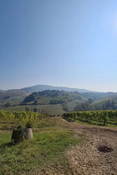 Agriturismo Cascina Angelina in Casteggio