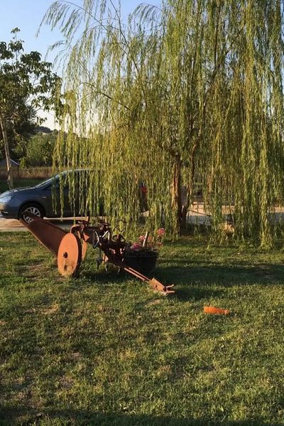 Agriturismo Perugini in Cesena
