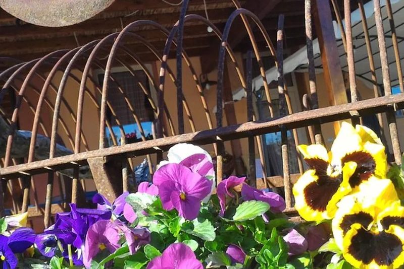 Agriturismo Perugini in Cesena