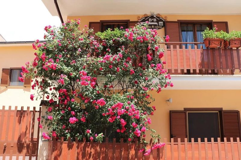 B&B A Casa di Nonna, a Massa D'Albe