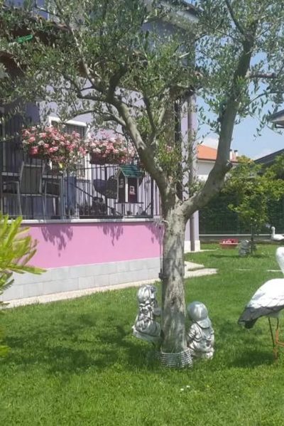 B&B Milù in Bussolengo