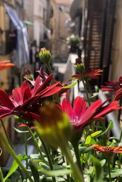 B&B Nonno Peppe, a Palermo
