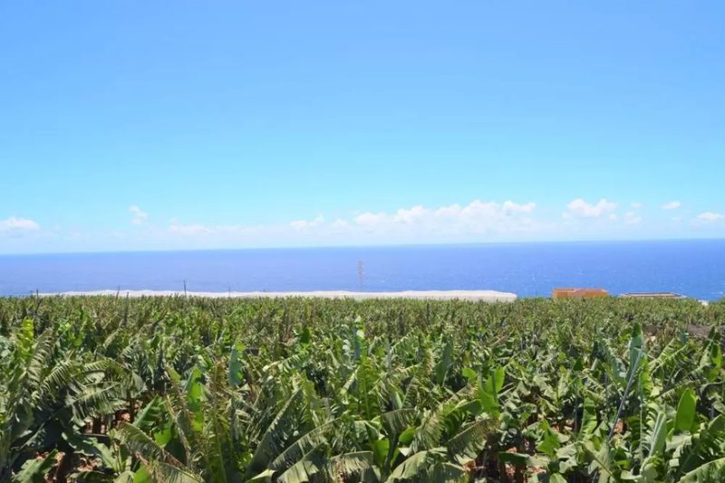 Casa Nine con Piscina in La Palma