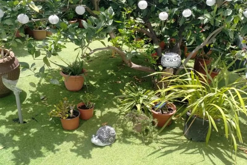 Casa Nine con Piscina in La Palma