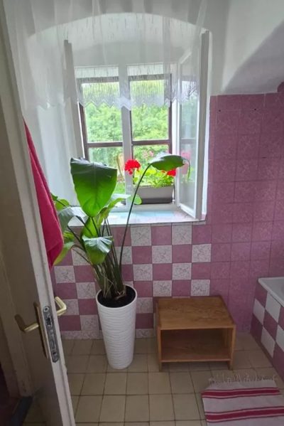 Fara Choustníkovo Hradiště in Choustníkovo Hradiště