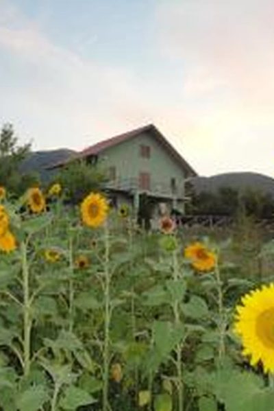 B&B Green House, a Morano Calabro