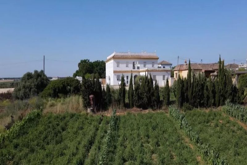 Alojamiento Rural Al’Mare, en Conil de la Frontera