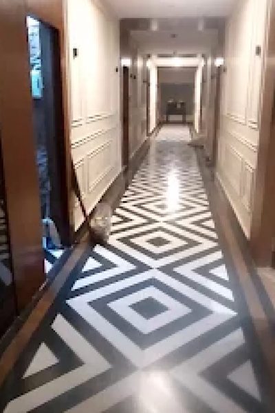 Hotel Hello Jeypore in Jaypur