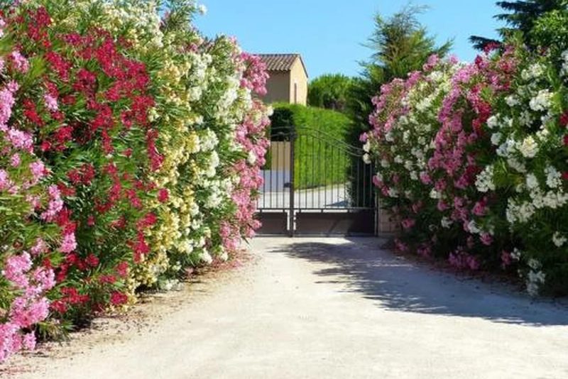Le Clos de Calas in Mollégès