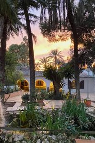 Pink Lemon House, en Elx