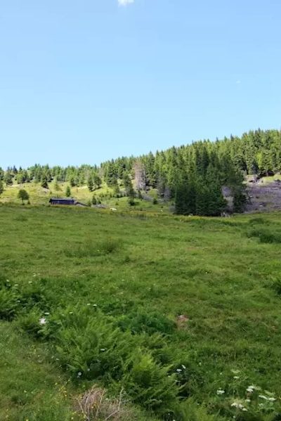 Rifugio Malga Masi in Novaledo