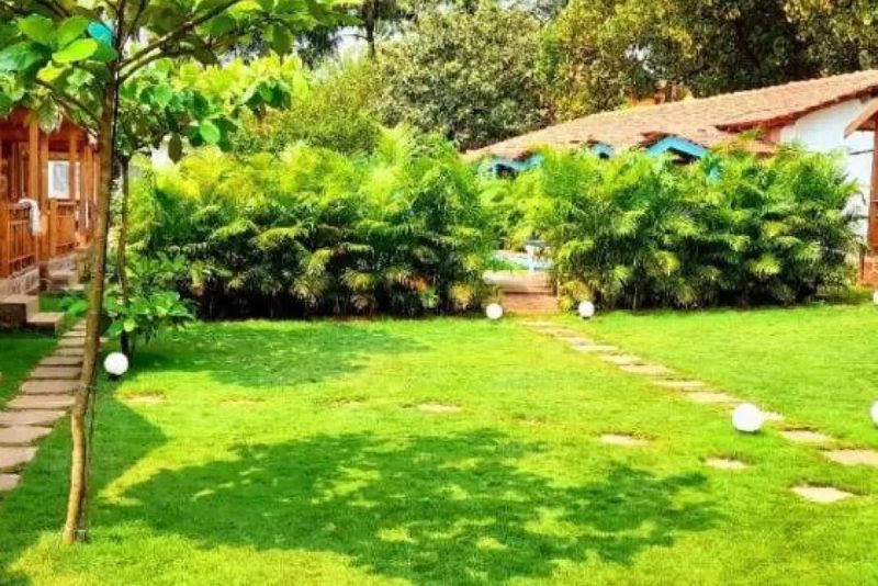 TP Beach Resort in Arambol