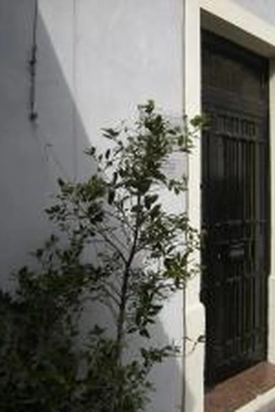 Tre Camere, a Monfalcone